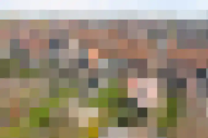 Doelstraat 43 Krabbendijke thumbnail 32