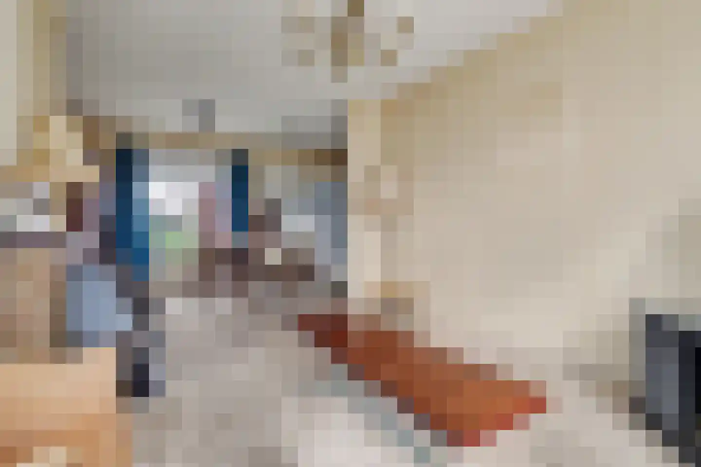 Doelstraat 43 Krabbendijke thumbnail 5
