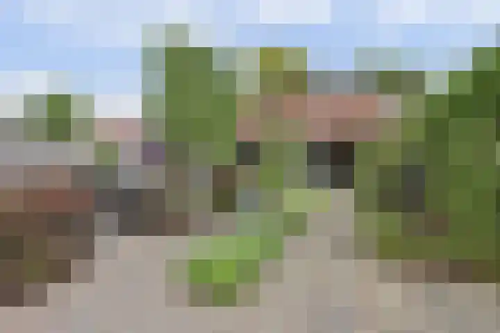 Doelstraat 66 Krabbendijke thumbnail 35