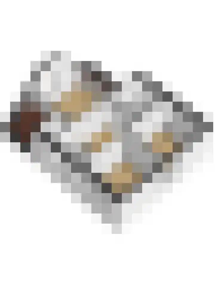 Doelstraat 66 Krabbendijke thumbnail 42