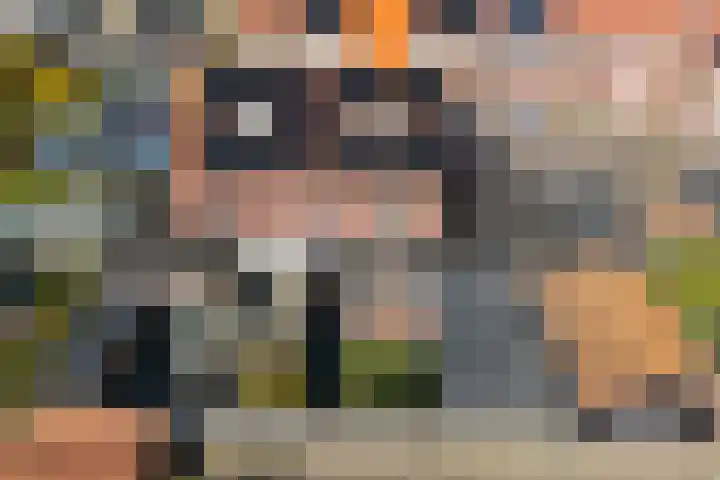 Doelstraat 69 Krabbendijke thumbnail 38