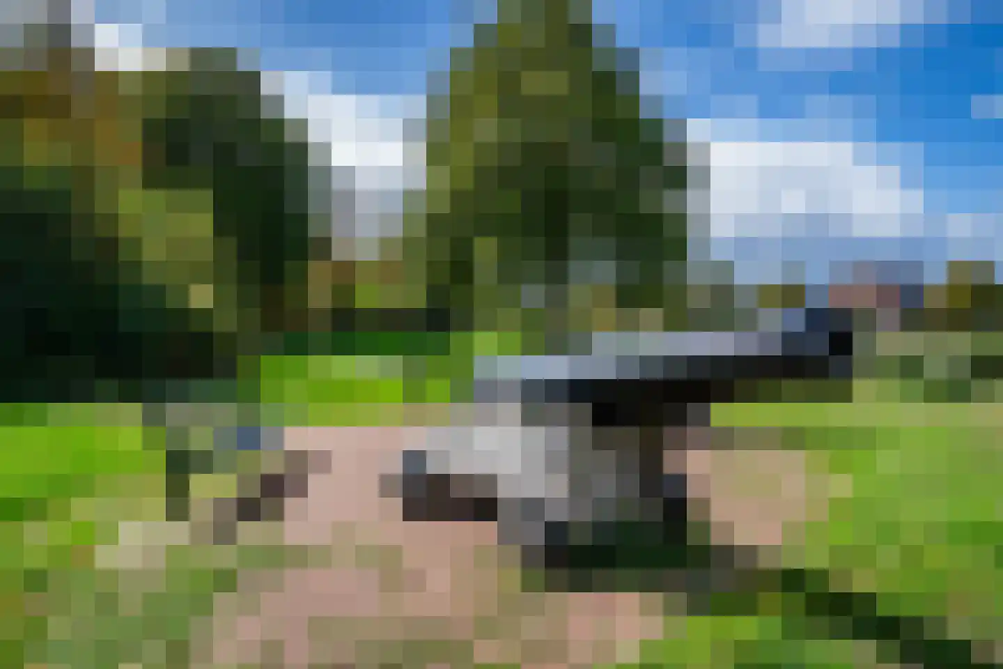 Doelweg 10 Tholen thumbnail 41