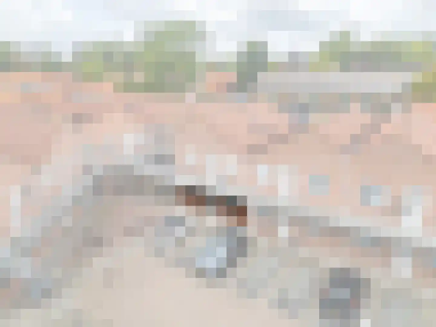Doelweg 10 Tholen thumbnail 6