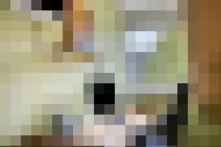 Doelweg 13 Tholen thumbnail 24