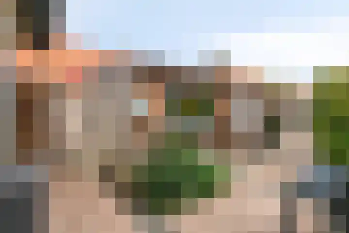 Doelweg 13 Tholen thumbnail 32
