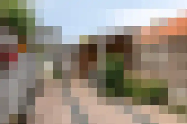 Doelweg 13 Tholen thumbnail 34