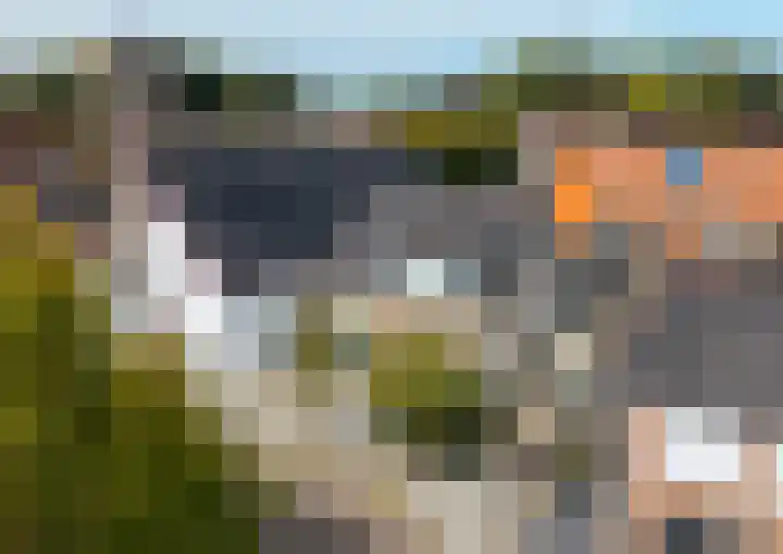 Doelweg 13 Tholen thumbnail 38
