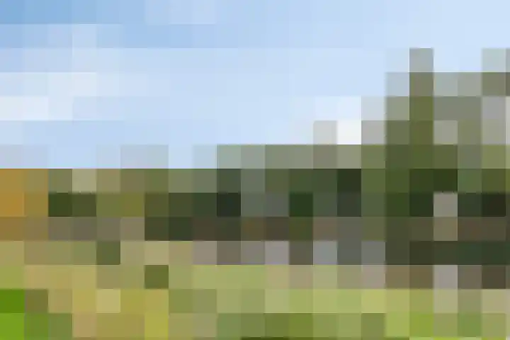 Doelweg 13 Tholen thumbnail 47