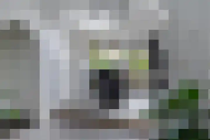 Doelweg 33 Tholen thumbnail 10