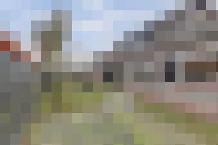 Doelweg 33 Tholen thumbnail 16