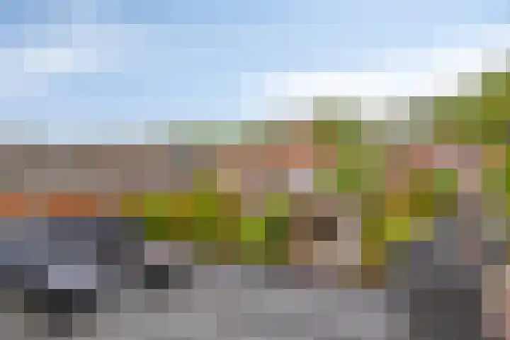 Doelweg 33 Tholen thumbnail 23
