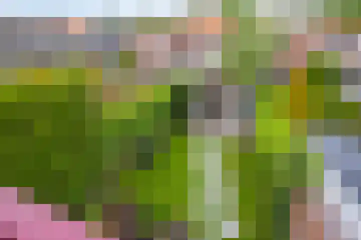 Doelweg 33 Tholen thumbnail 24