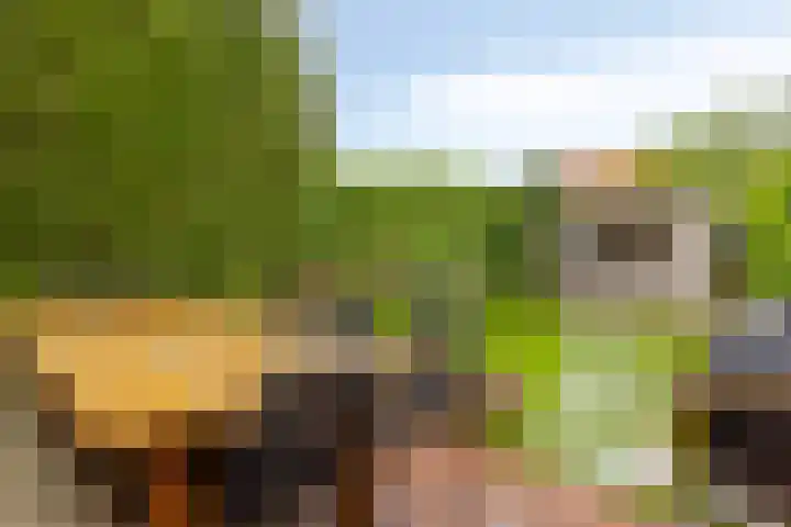 Doelweg 33 Tholen thumbnail 27