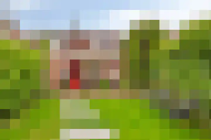 Doelweg 33 Tholen thumbnail 30