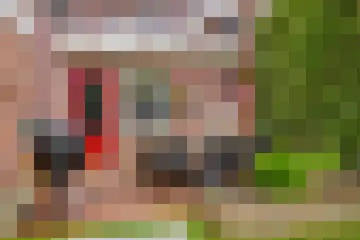 Doelweg 33 Tholen thumbnail 31
