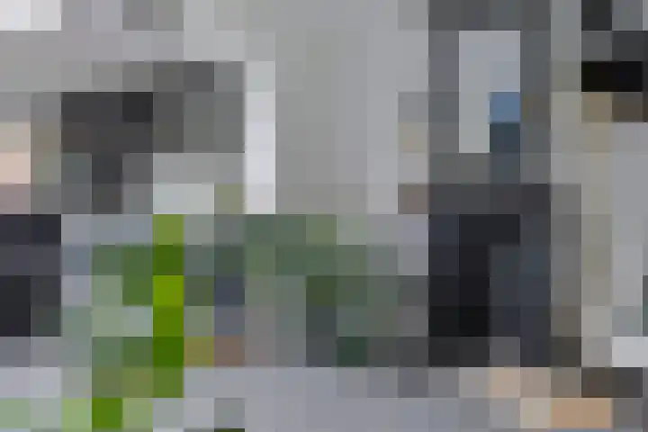 Doelweg 33 Tholen thumbnail 9
