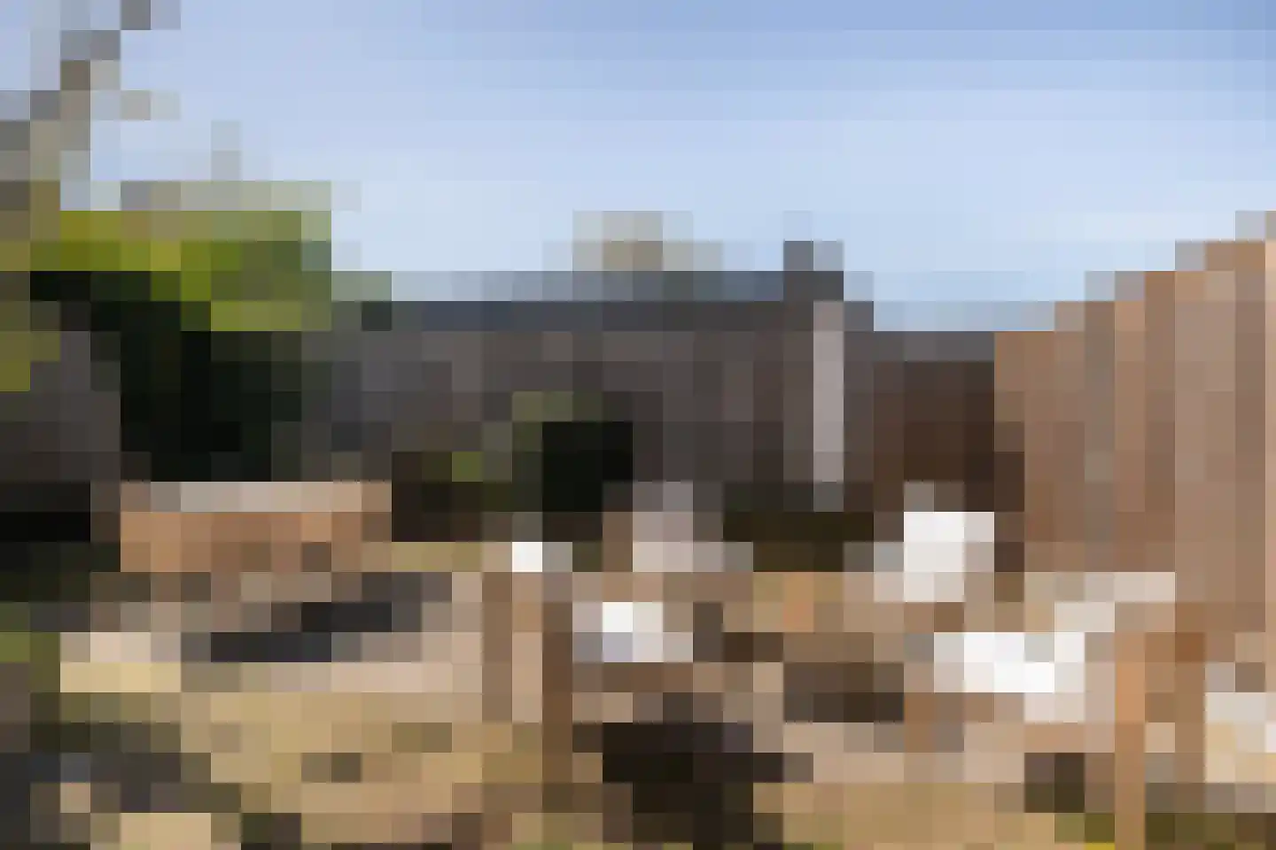 Doelweg 60 Tholen thumbnail 32