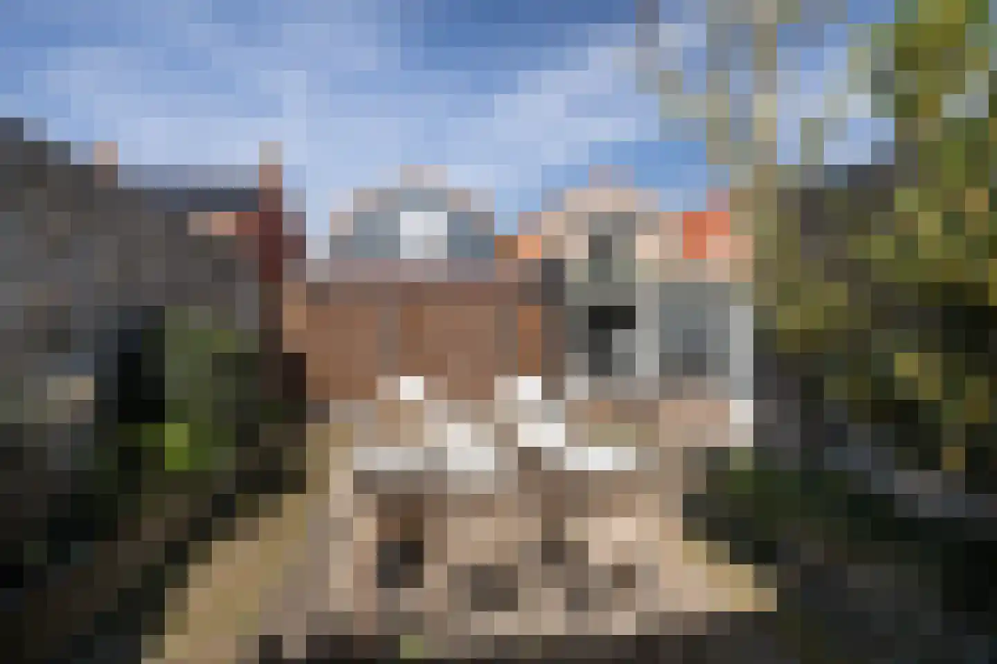 Doelweg 60 Tholen thumbnail 35