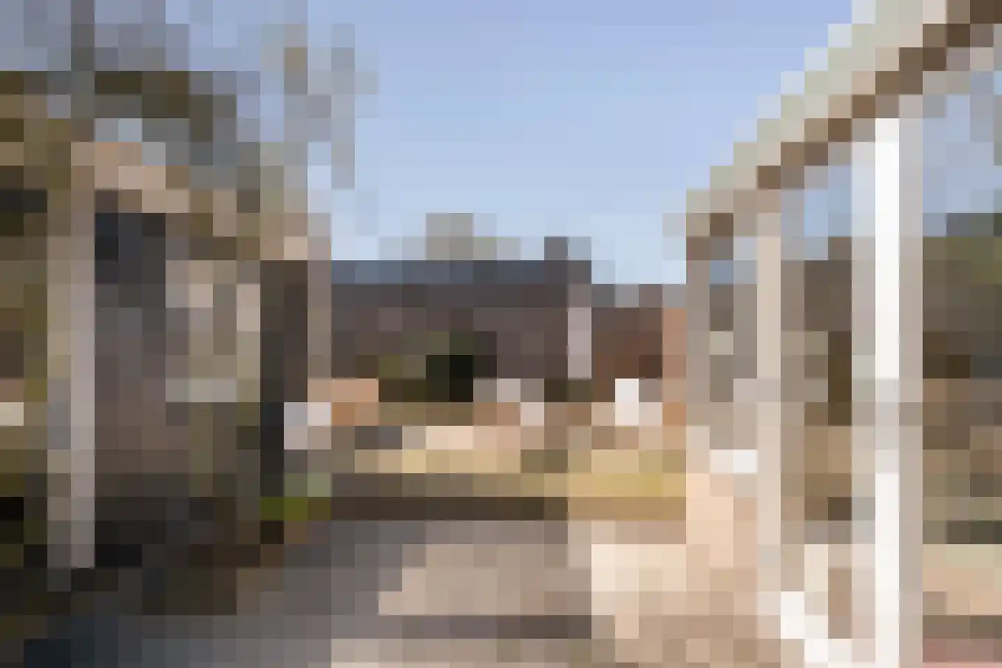 Doelweg 60 Tholen thumbnail 5