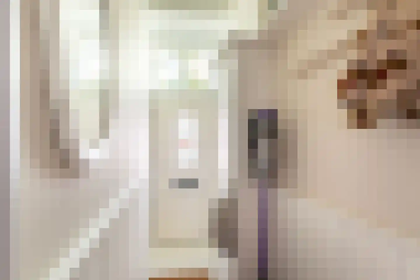 Doelweg 60 Tholen thumbnail 8