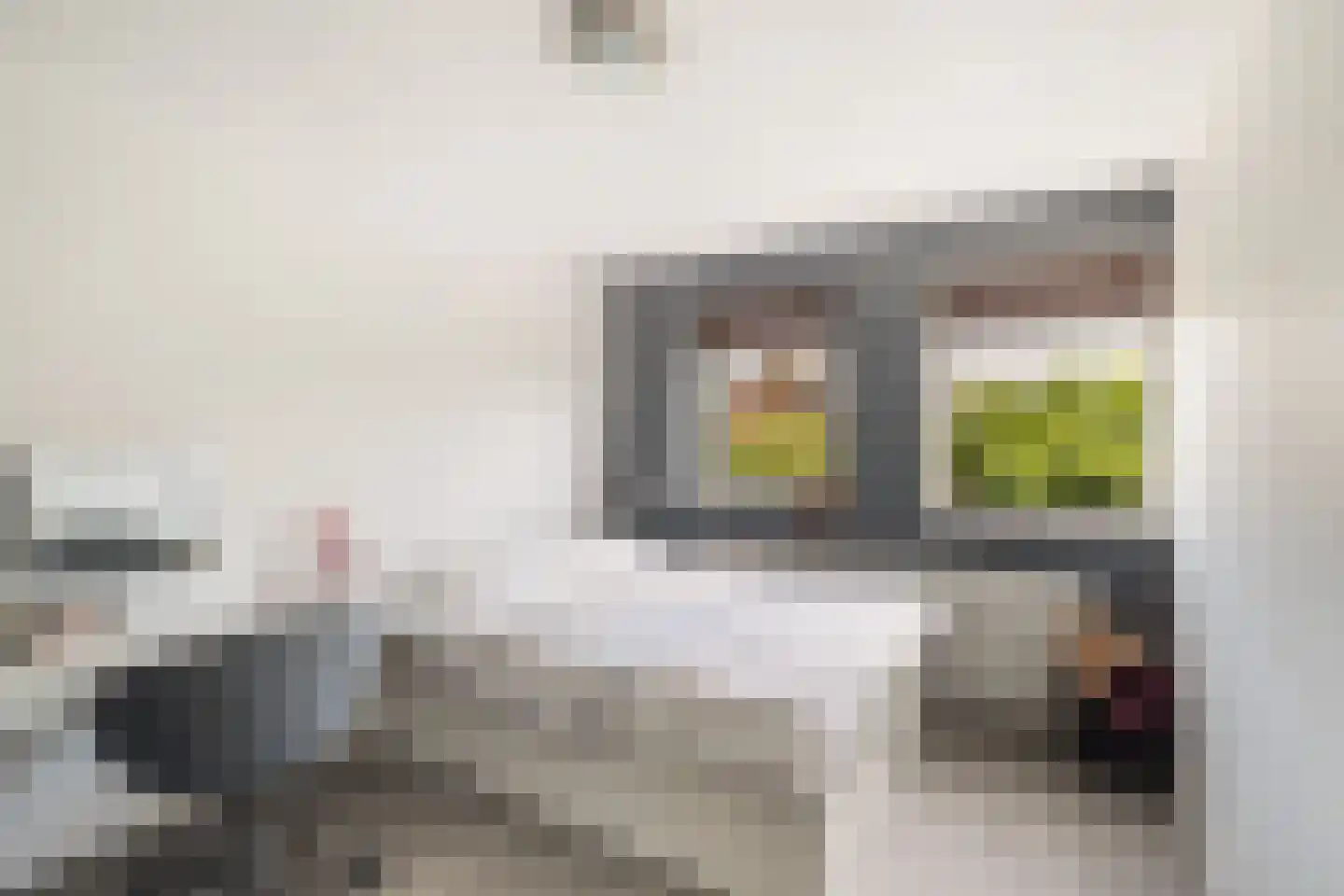 Doelwijck 39 Rhoon thumbnail 14