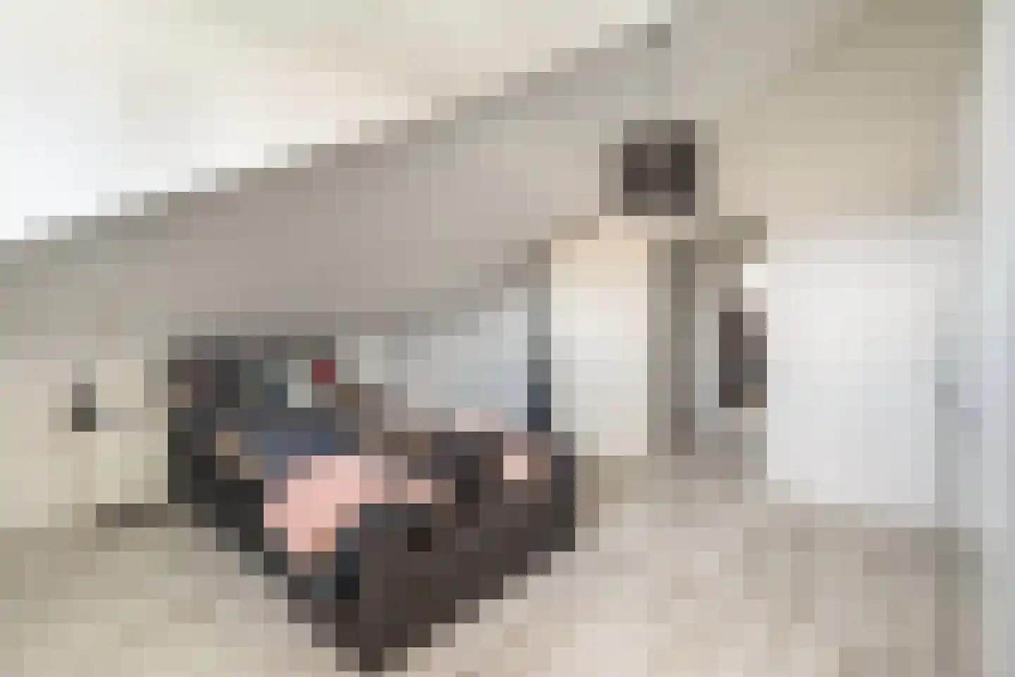 Doelwijck 39 Rhoon thumbnail 18