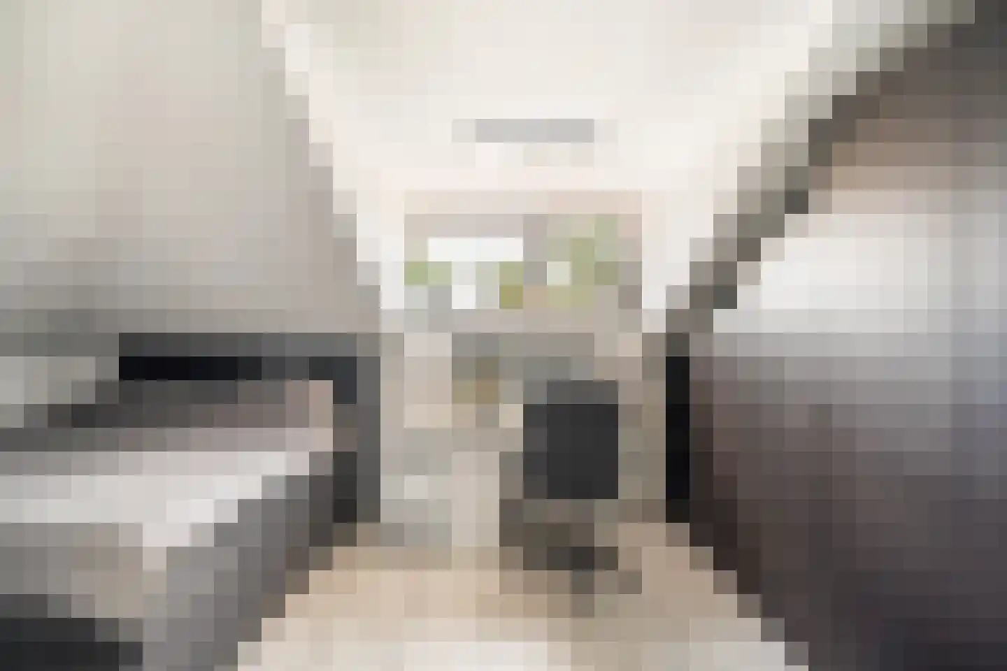Doelwijck 39 Rhoon thumbnail 20