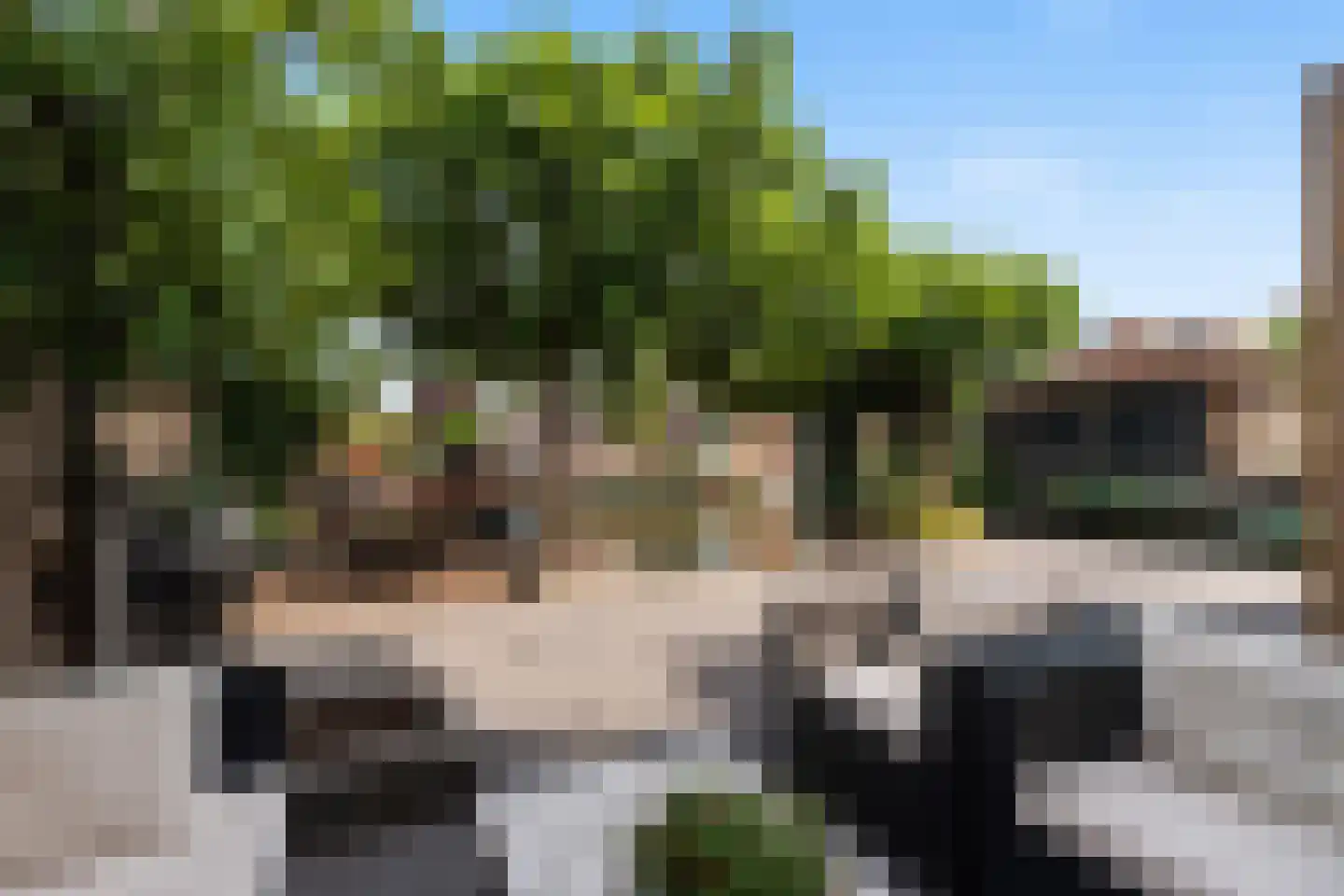 Doelwijck 39 Rhoon thumbnail 23