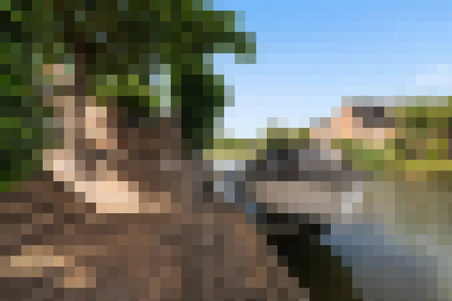 Doelwijck 39 Rhoon thumbnail 25