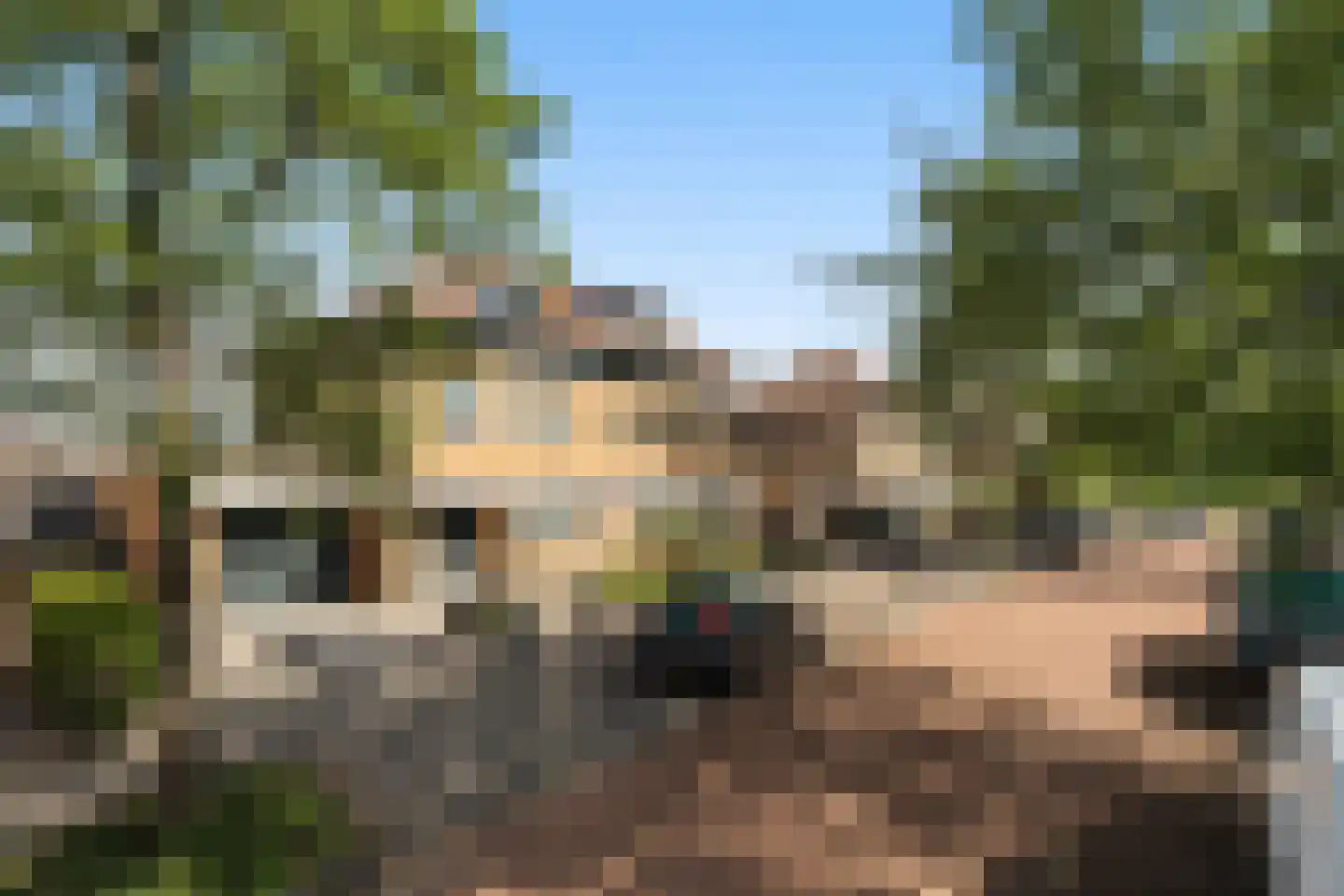 Doelwijck 39 Rhoon thumbnail 29