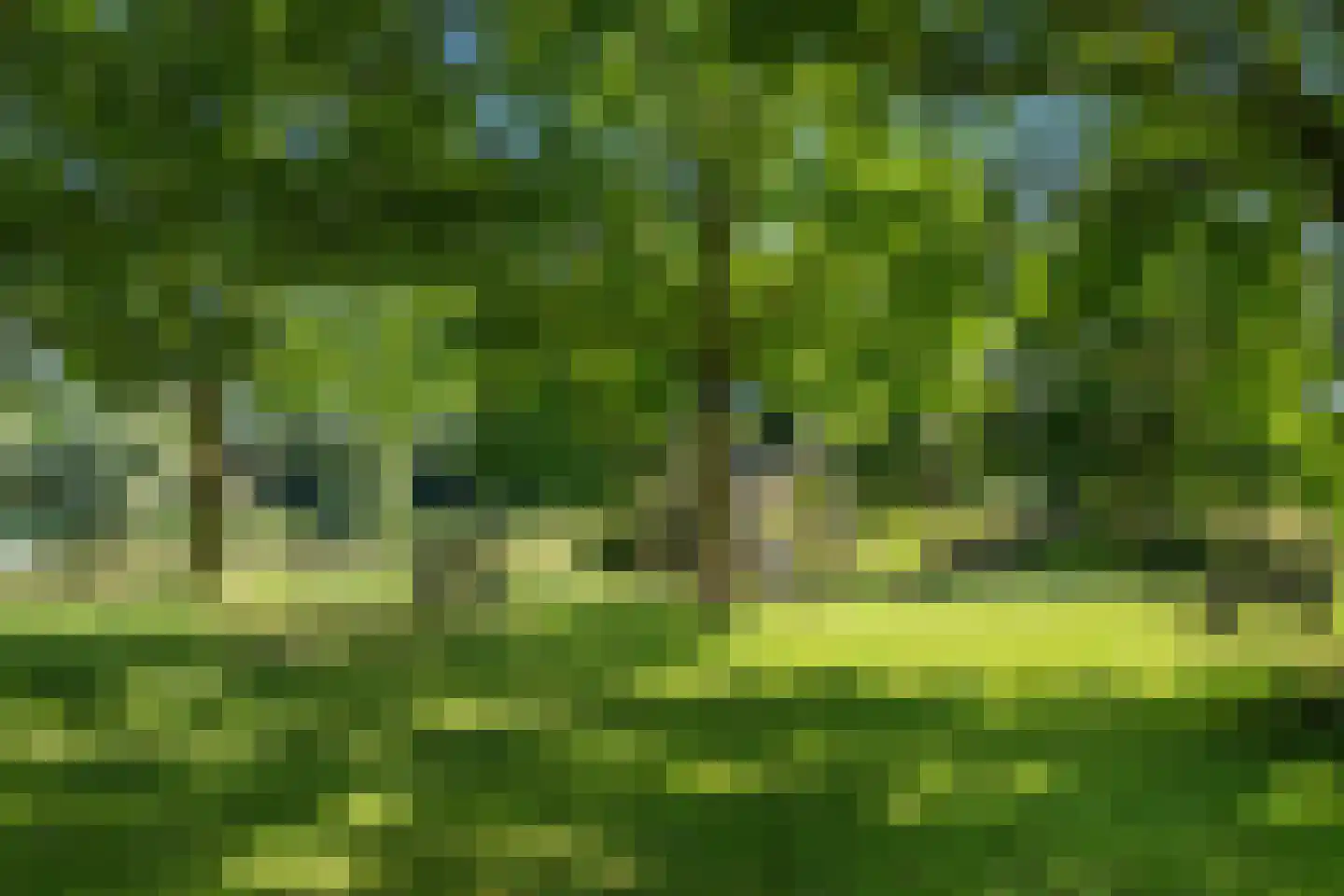 Doelwijck 39 Rhoon thumbnail 32