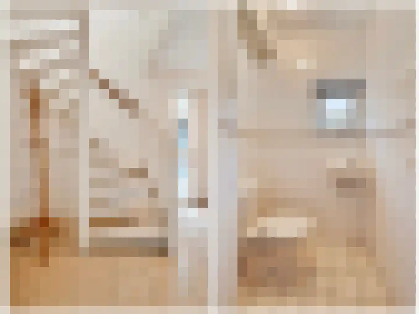 Doelwijck 44 Rhoon thumbnail 18