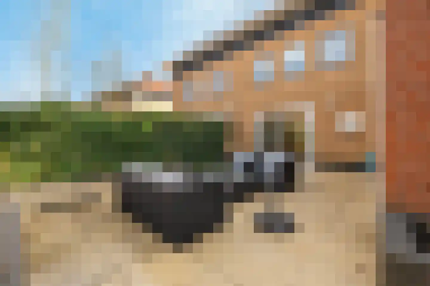 Doelwijck 44 Rhoon thumbnail 31