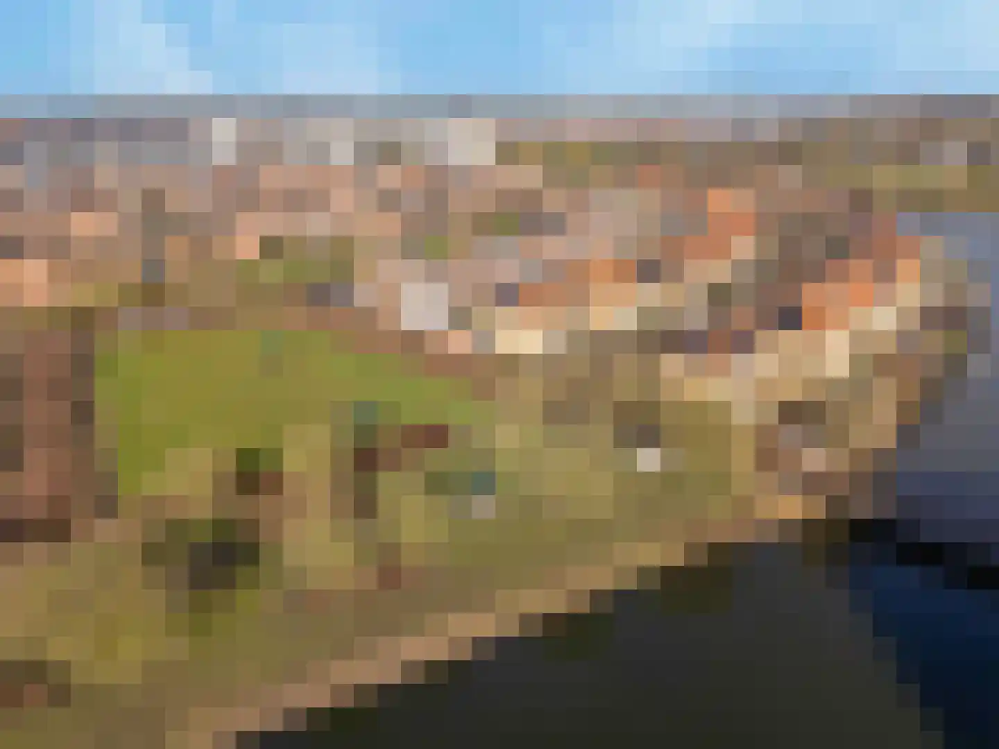 Doelwijck 44 Rhoon thumbnail 45