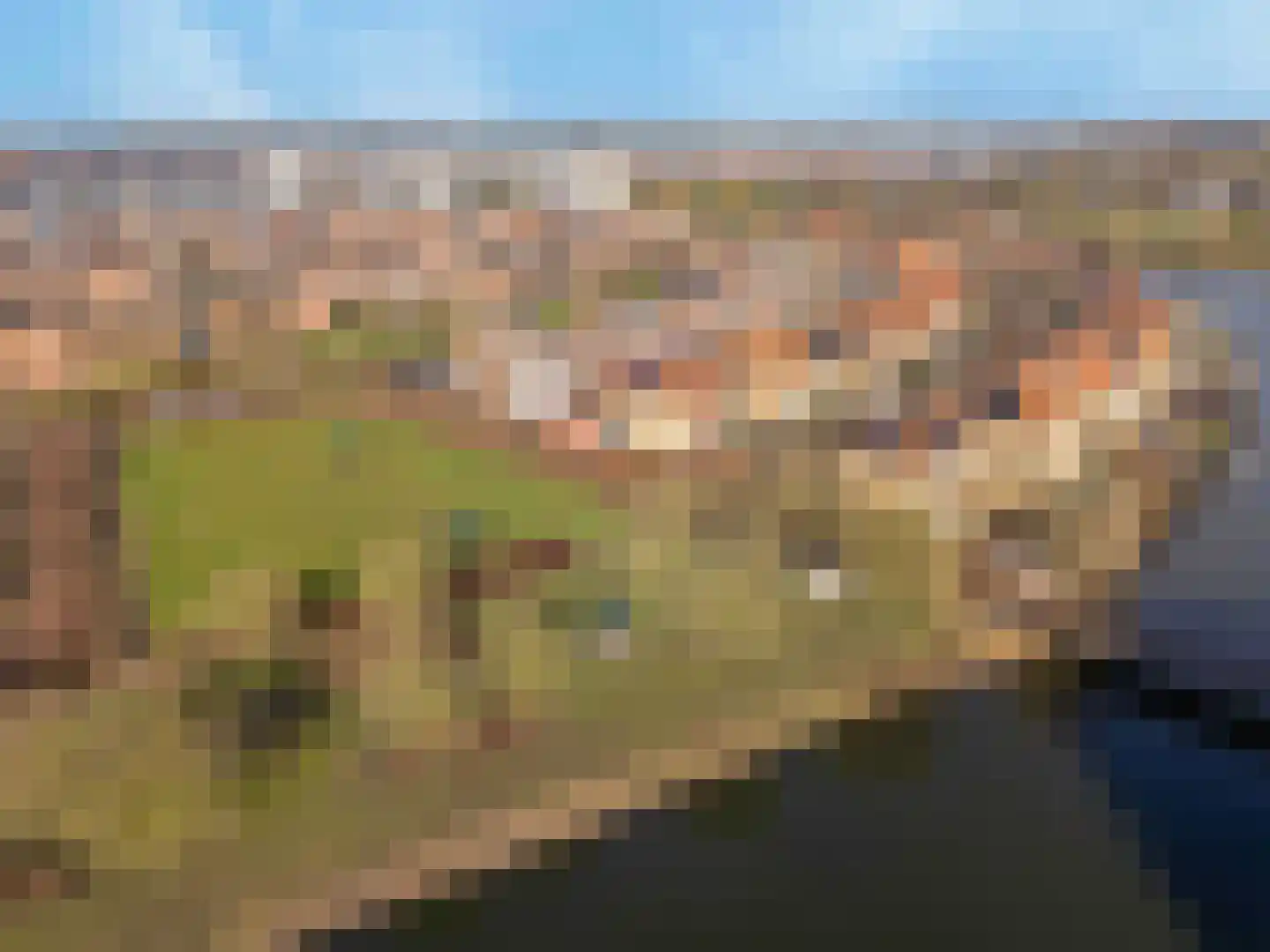 Doelwijck 44 Rhoon thumbnail 46