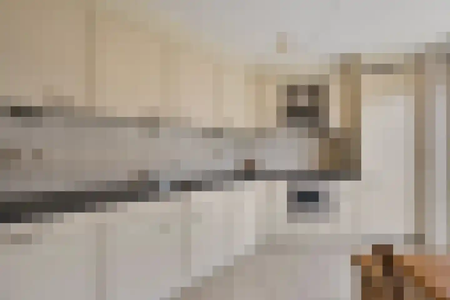 Doelwijck 44 Rhoon thumbnail 8