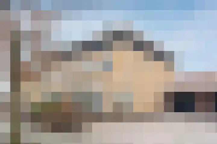 Doelwijck 6 Rhoon