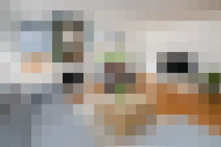 Doelwijck 6 Rhoon thumbnail 10