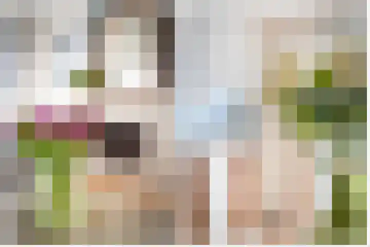 Doelwijck 6 Rhoon thumbnail 12