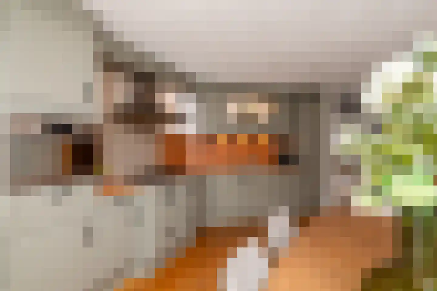 Doelwijck 6 Rhoon thumbnail 16