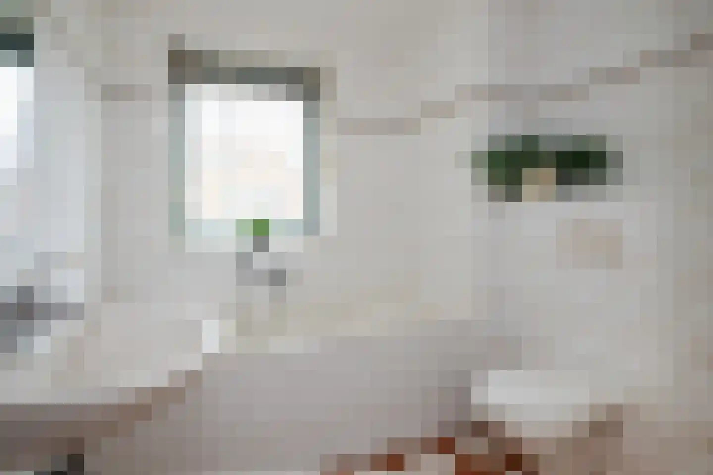 Doelwijck 6 Rhoon thumbnail 22