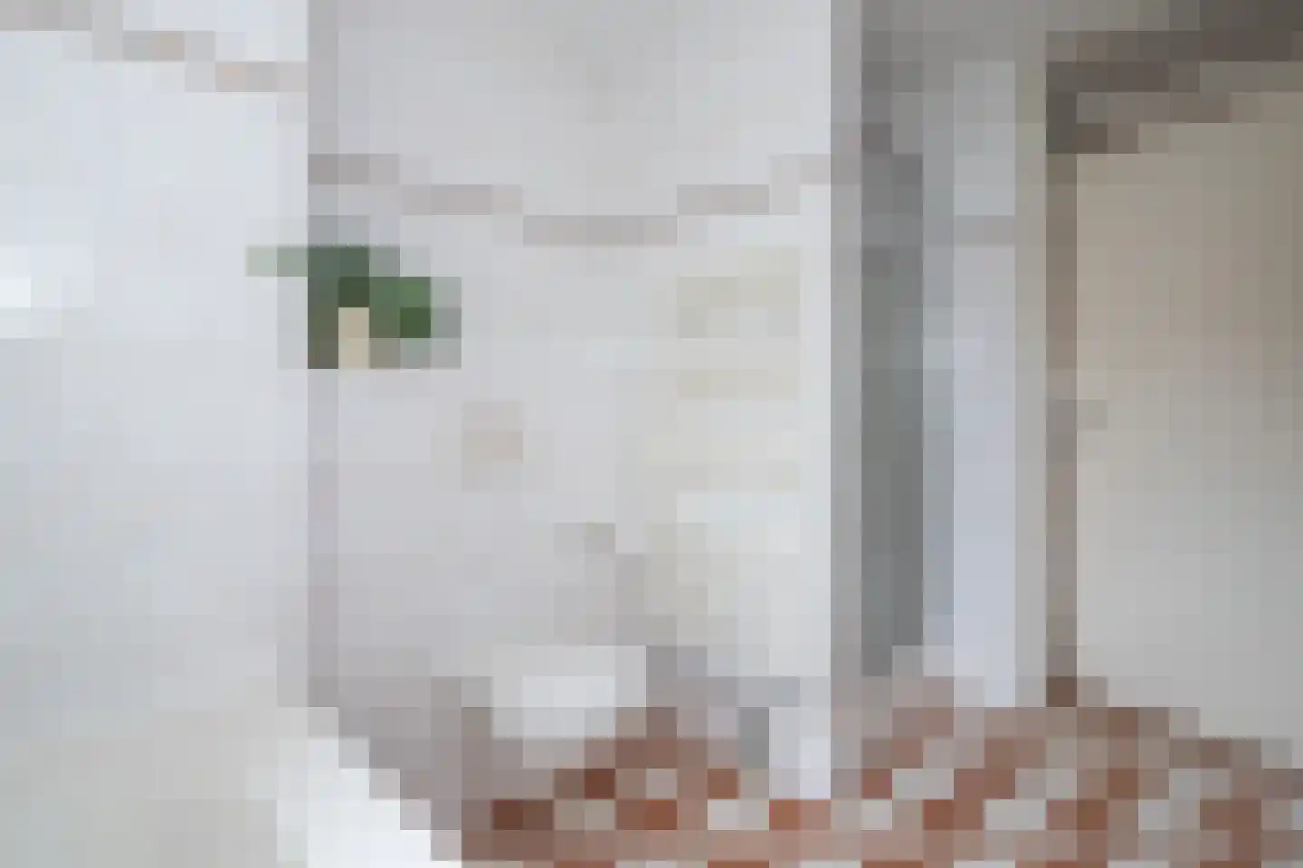 Doelwijck 6 Rhoon thumbnail 24