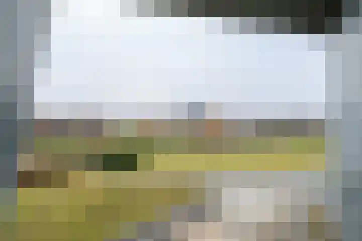 Doelwijck 6 Rhoon thumbnail 37