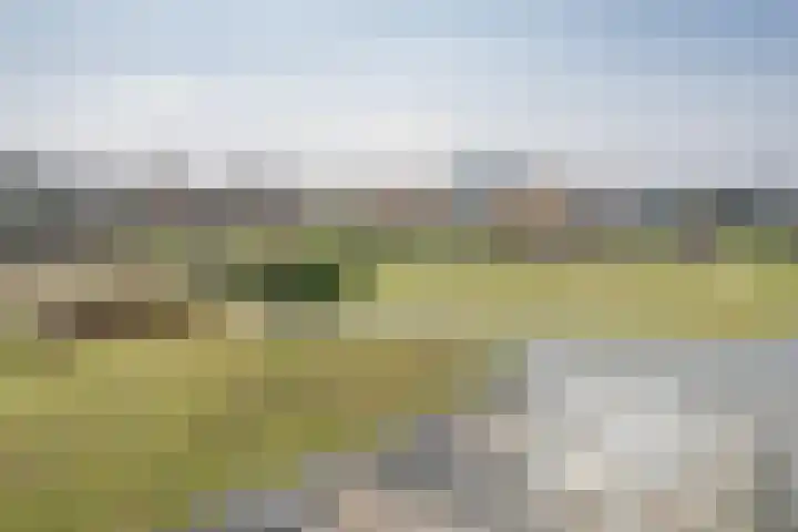 Doelwijck 6 Rhoon thumbnail 38