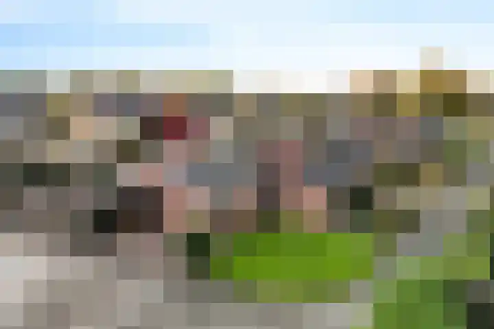 Doemakkers 16 Oosterhesselen