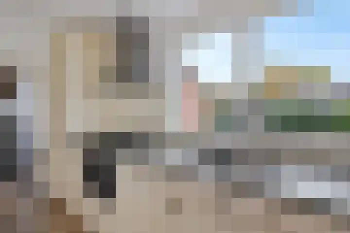 Doemakkers 16 Oosterhesselen thumbnail 13
