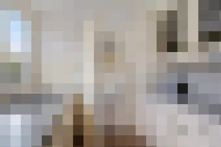 Doemakkers 16 Oosterhesselen thumbnail 14