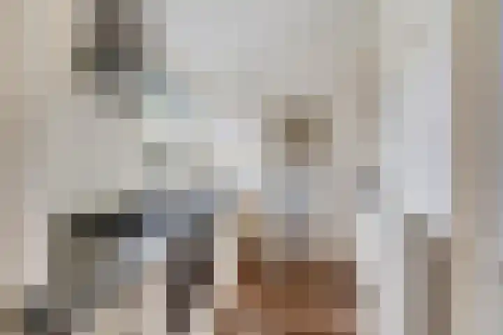 Doemakkers 16 Oosterhesselen thumbnail 15