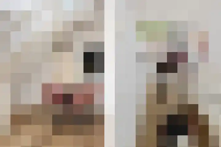 Doemakkers 16 Oosterhesselen thumbnail 22