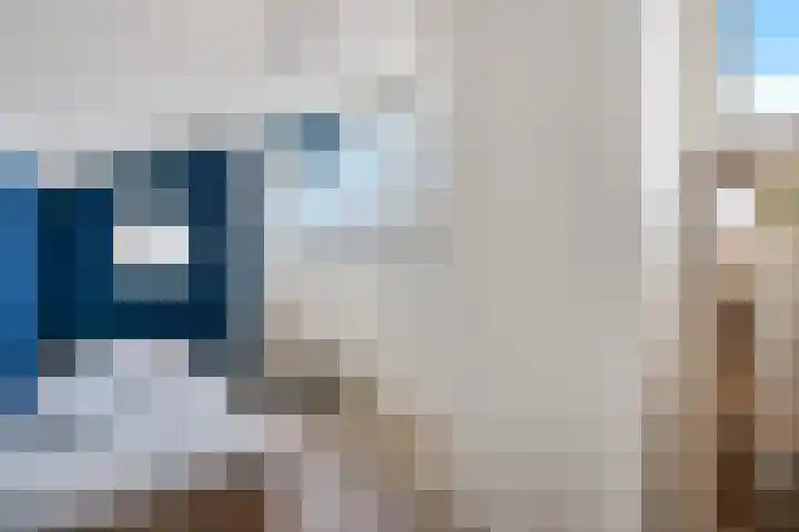 Doemakkers 16 Oosterhesselen thumbnail 24